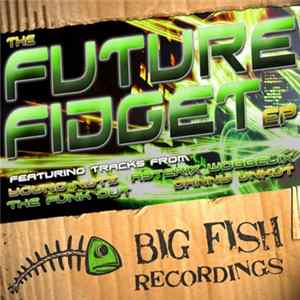 Various - The Future Fidget EP FLAC