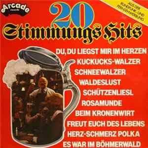 Unknown Artist - 20 Stimmungs Hits FLAC