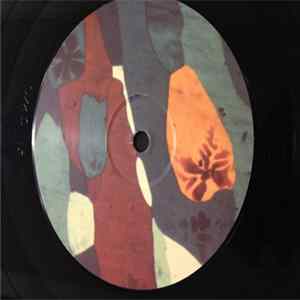 Name In Lights - All Inclusive FLAC