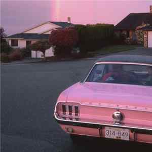 dné - These Semi Feelings, They Are Everywhere FLAC