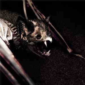 Jap Herron - Jap Herron FLAC