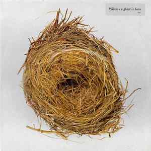 Wilco - A Ghost Is Born FLAC