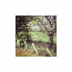 elizabeth Veldon - Untitled (Spring 2018​.​1) FLAC
