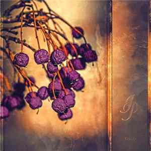 Indigo Pearls - Stille FLAC