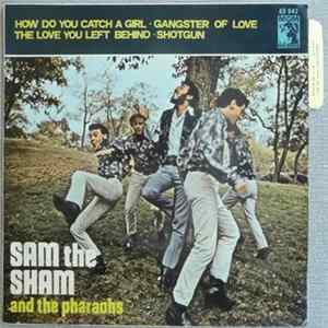 Sam The Sham & The Pharaohs - How Do You Catch A Girl FLAC