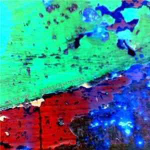 Les Modules Etranges - Join The Tribe FLAC