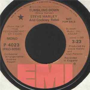 Steve Harley And Cockney Rebel - Tumbling Down FLAC
