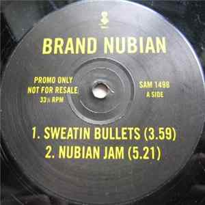 Brand Nubian - Everything Is Everything Sampler FLAC