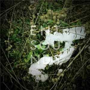 Entsounds - Growth EP FLAC