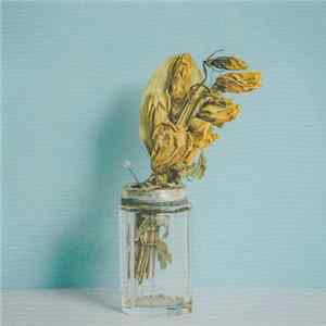 Fyfe - Love You More FLAC