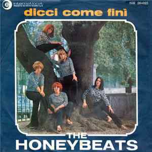 The Honeybeats - Dicci Come Finì FLAC