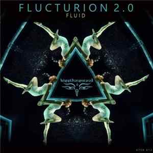 Flucturion 2.0 - Fluid FLAC