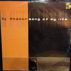 DJ Amador - Song Of My Life FLAC