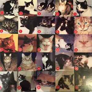 Various - Alternakitty - Alternative Sampler FLAC
