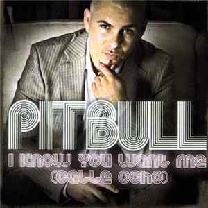 Pitbull - I Know You Want Me (Calle Ocho) FLAC