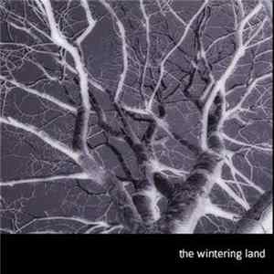 Savaran - The Wintering Land FLAC