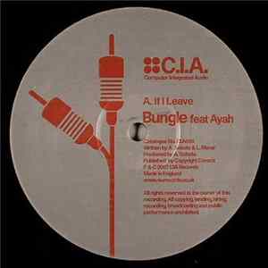 Bungle - If I Leave / Resized (G Dub Remix) FLAC