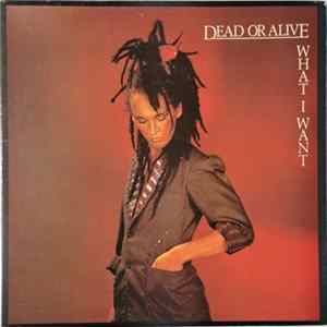 Dead Or Alive - What I Want FLAC