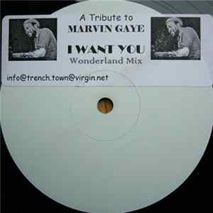 Marvin Gaye - I Want You (Wonderland Remix) FLAC