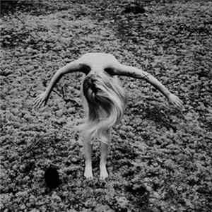 Black Egg - Legacy From A Cold World FLAC