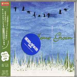 Home Grown - When It All Comes Down FLAC