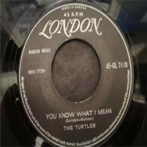 The Turtles - You Know What I Mean / Rugs Of Woods & Flowers FLAC