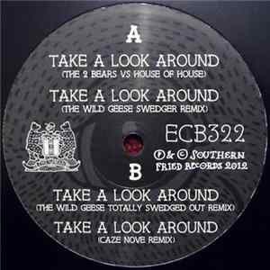 The 2 Bears - Take A Look Around FLAC