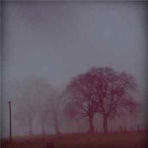 In Fog - Really, Really FLAC