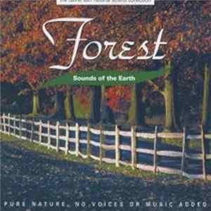 David Sun - Forest FLAC