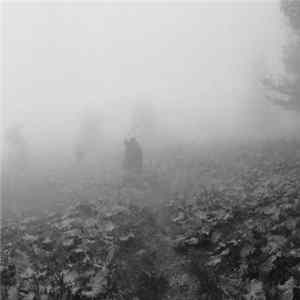 Thaw - St. Phenome Alley FLAC
