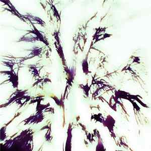Stalker - Dead Tree FLAC