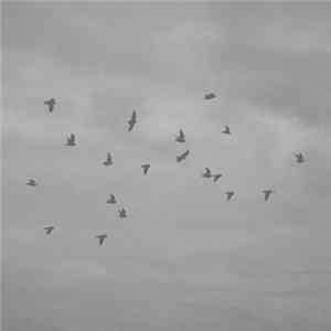 Asher Tuil - Prelude Studies FLAC