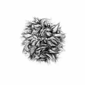 Wolf In A Spacesuit - Bark Of A Cedar / I Fee Nthg FLAC
