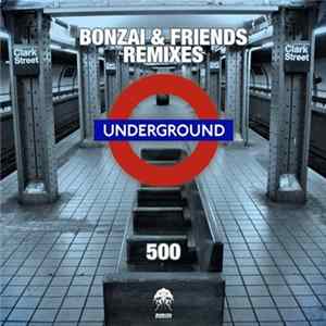 Various - Bonzai & Friends (Remixes) FLAC