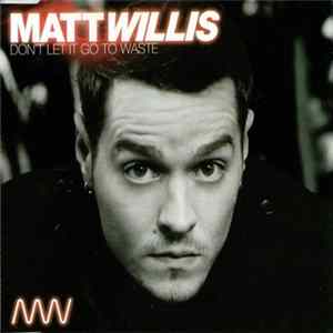 Matt Willis - Don't Let It Go To Waste FLAC