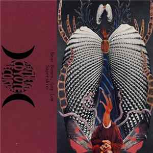 Bear Bones, Lay Low / Superskin - Split FLAC