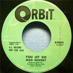 Sean Downey - You Let Go / Hearts Are Wild FLAC