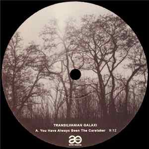 Transilvanian Galaxi - You Have Always Been The Caretaker FLAC
