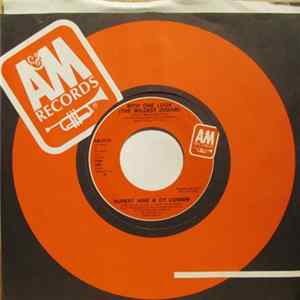 Rupert Hine & Cy Curnin - With One Look (The Wildest Dream) FLAC