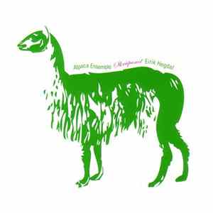 Alpaca Ensemble, Eirik Hegdal - Skråpanel FLAC