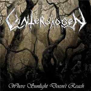Vinterskögen - Where Sunlight Doesn't Reach FLAC