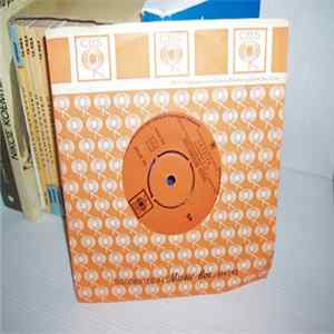 Raiders - Indian Reservation / Terry's Tune FLAC