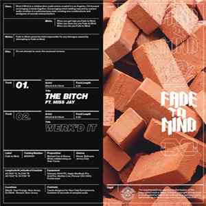 MikeQ & DJ Sliink - Mind To Mind FLAC