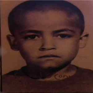 Sinéad O'Connor - Success Has Made A Failure Of Our Home FLAC