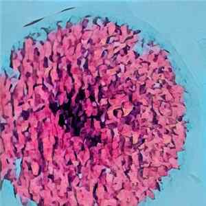 Adenip - Quinto Sol FLAC