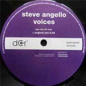 Steve Angello - Voices FLAC