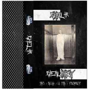 SHELTR. - Stealthboy FLAC