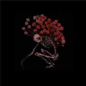 Tenhi - Folk Aesthetic 1996-2006 FLAC