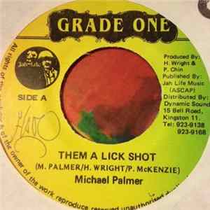 Michael Palmer - Them A Lick Shot FLAC
