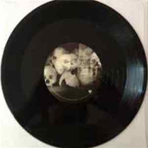Jerry Joseph And The Jackmormons - Jerry Joseph And The Jackmormons FLAC
